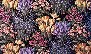 Colourful Spring Blooms Stampe: Spring flowers