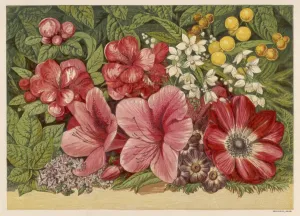 Primavera Stampe: Fiori di Primavera 1866
