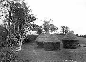 Early 1900s Rural Scene Stampe: Stack Garden