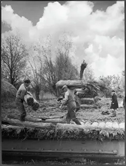 Cambridgeshire Landscape Photography Stampe: Stacking Reed for Thatch