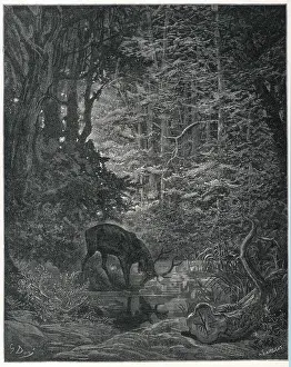 La Stag e la sua Riflessione