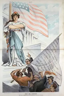 Declaration Of Independence Image Stampe: Only one standard
