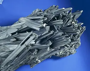Natural History Museum Specimens Stampe: Stibnite