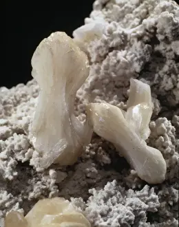 Natural History Museum Specimens Stampe: Stilbite