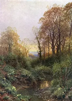 English River Landscapes Stampe: Stream at Leith Hill