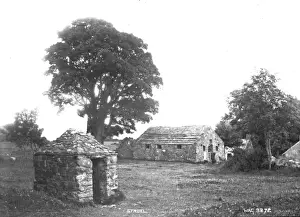 County Down Images Stampe: Struel