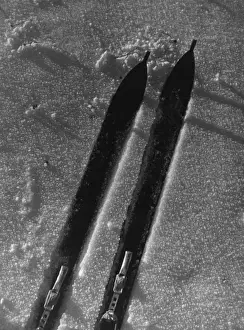 Skiing In The Snow Stampe: Study of Skis