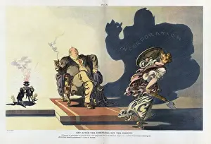 Puck Magazine Illustrations Stampe: Get after the substance, not the shadow
