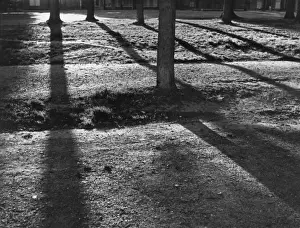 Stampa con cornice : Sol Levante e Ombra Stampa con cornice : Sol Levante e Ombra