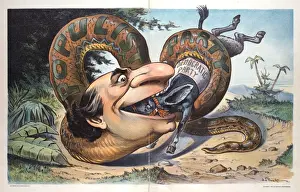 Puck Magazine Art Stampe: Swallowed