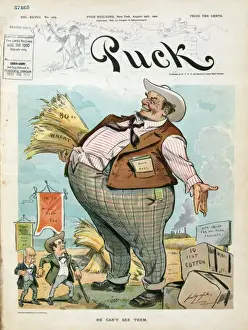 William Jennings Bryan Cartoon Stampe: He can t see them