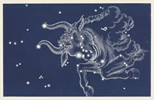 Constellation Art Prints Stampe: Taurus