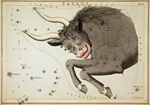 Toro Stampe: Taurus