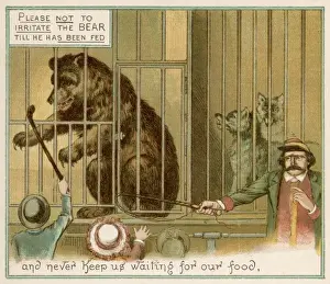 Animal Behavior Study Stampe: Teasing the Bear