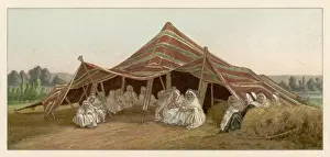 North African Nomads Stampe: Tent of Nomadic Arabs