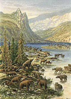 Historical European Landscapes Stampe: Tertiary L scape