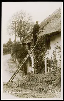 Traditional Roofing Techniques Stampe: Thatching at Porlock