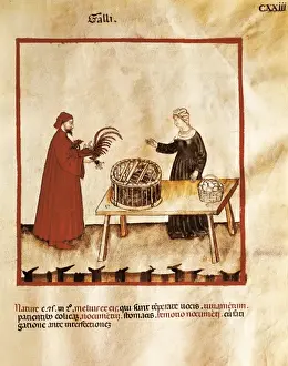 Gothic Art Prints Stampe: Theatrum sanitatis (Codex 4182). Tacuinum Sanitatis