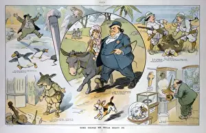 William Jennings Bryan Cartoon Stampe: Some things Mr. Bryan might do