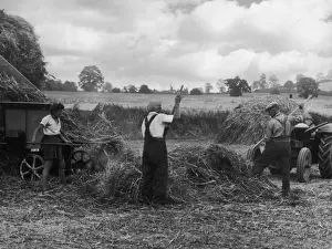 Britain Farming History Stampe: Threshing Straw