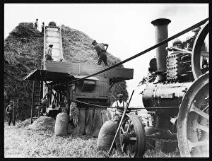 Henley On Thames Stampe: Threshing Wheat