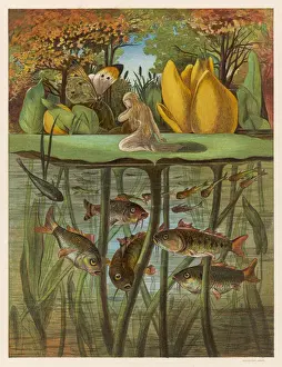 Pre Raphaelite Style Art Stampe: Thumbkinetta