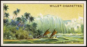 Natural Disaster Images Stampe: TIDAL WAVE, 1908