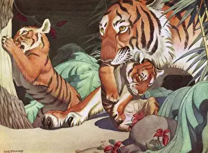 Raymond Sheppard Prints Stampe: Tigers
