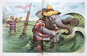 Republican Elephant Cartoon Stampe: A timely warning