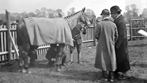 Paddock delle corse di Towcester