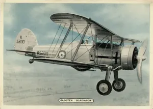 Malta Stampe: Gladiatore Gloster