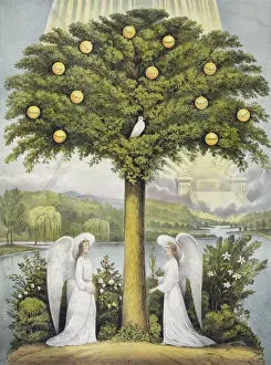 Bible Illustration Stampe: The tree of life