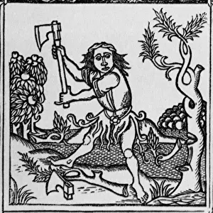 Historical Literature Stampe: The trees & the axe