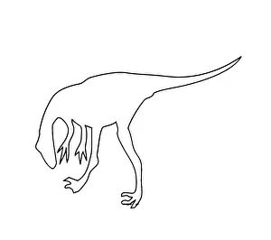 Mesozoic Era Illustrations Stampe: Troodon
