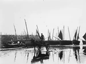 Cornish Harbour Scene Stampe: Unloading the catch at St Ives, Cornwall