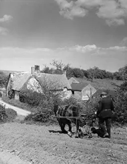 Farming In The 1960s Stampe: Using a Seed Drill