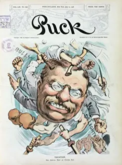 Theodore Roosevelt Cartoon Stampe: Vacation