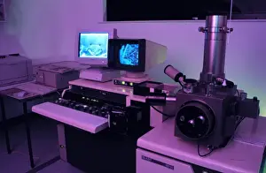 Scanning Electron Microscope Image Stampe: Variable pressure scanning electron microscope