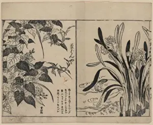 Woodblock Art Japan Stampe: Vines and daffodils