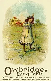 Early 20th Century Advertising Posters Stampe: Violets