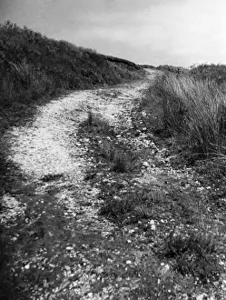 Gower Peninsula Landscape Stampe: Welsh Trackway