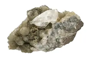 Mineral Specimen Photography Stampe: Whewellite