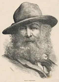American Literature History Stampe: WHITMAN