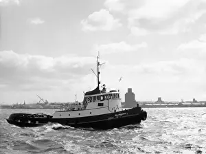 Fiume Mersey Stampe: Fusta di cedro Willowgarth