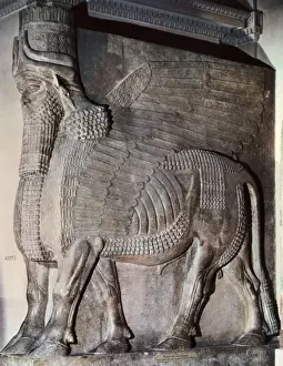 Palazzo Stampe: Asselio Assiro Alato