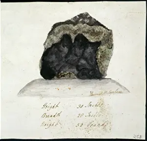 Pittura Stampe: Meteorito di Wold
