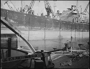 King George V Dock Stampe: Working in Hull Docks