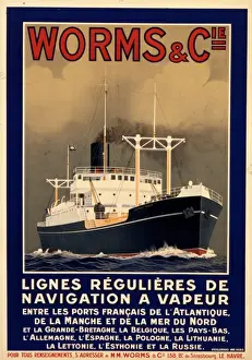 Vermi Di Mare Stampe: Poster delle Vipere e Cie'