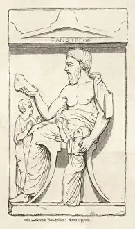 XANTHIPPUS