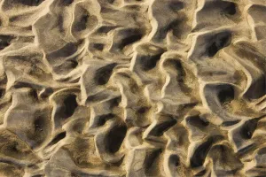 Arid Desert Scenery Photos Stampe: Namibia - Structural forms in the sand of a dry riverbed